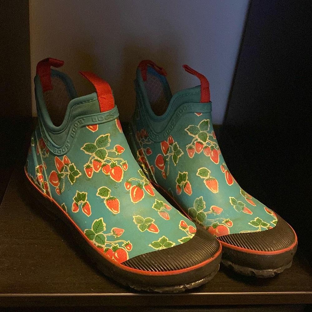 Strawberry Bogs